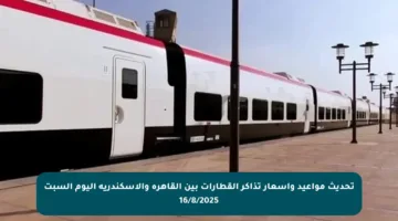 تحديث مواعيد وأسعار تذاكر القطارات بين القاهرة والإسكندرية اليوم السبت 16/8/2025